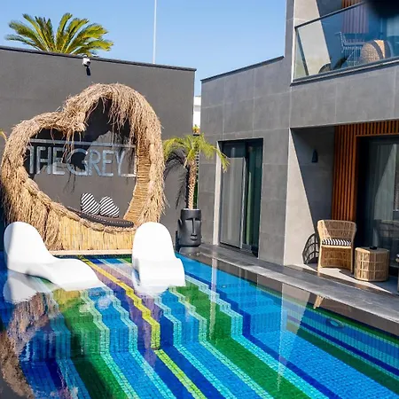 The Grey Alacati *